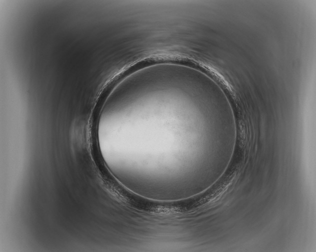 X0000116640487200912141238