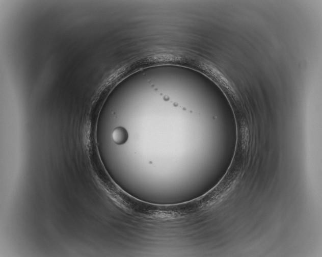 X0000116640490200912141238