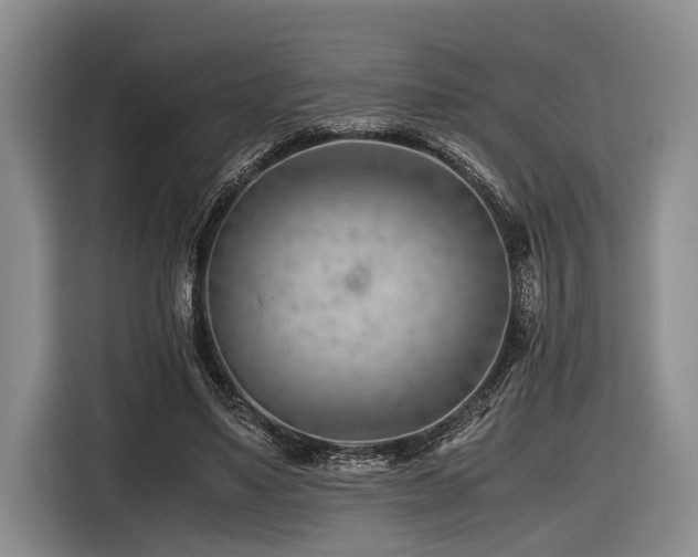 X0000116640491200912141238