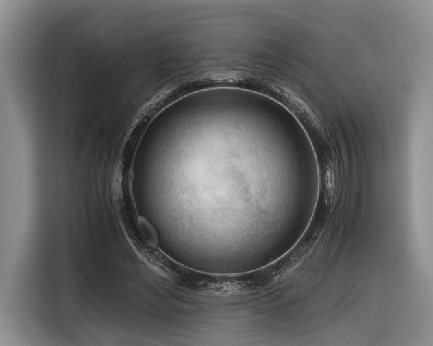 X0000116640492200912141238