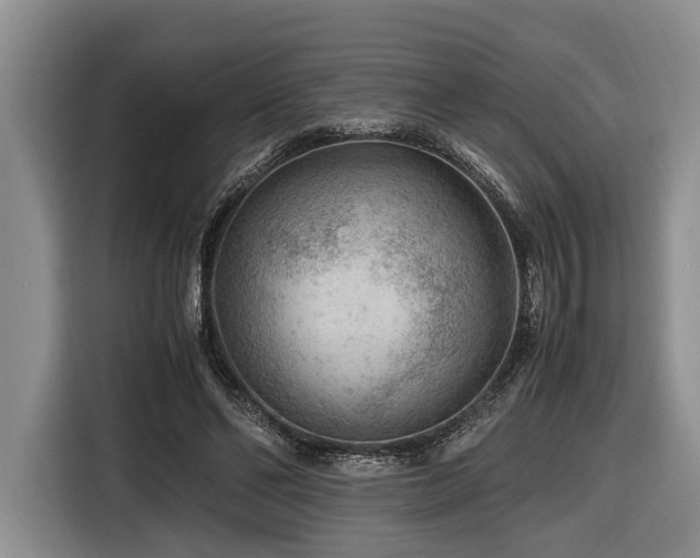 X0000116640494200912141238