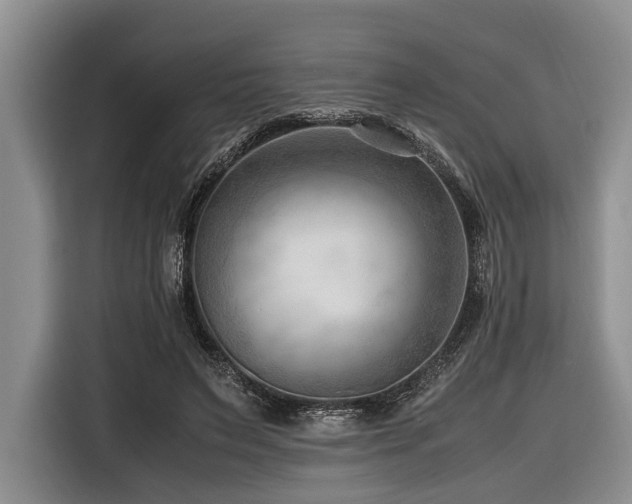 X0000116640495200912141238