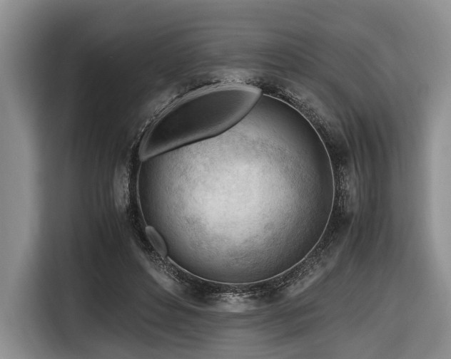 X0000116640496200912141238