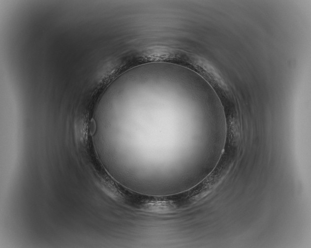 X0000116640499200912141238