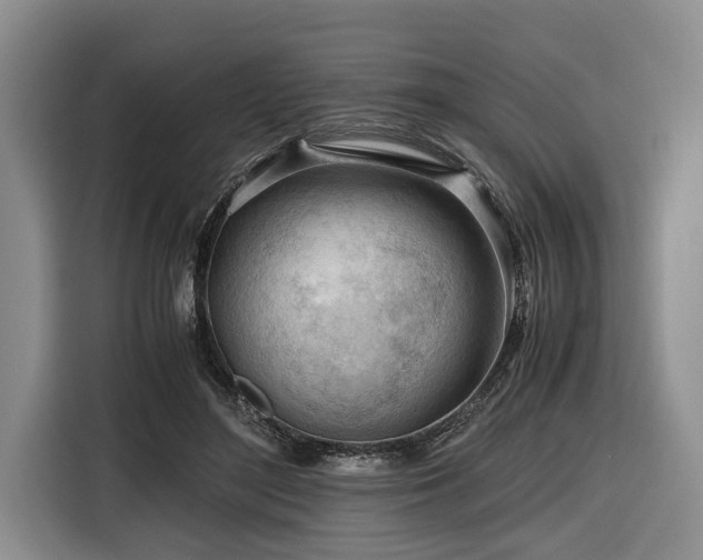 X0000116640500200912141238