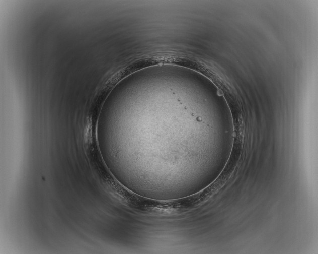 X0000116640502200912141238