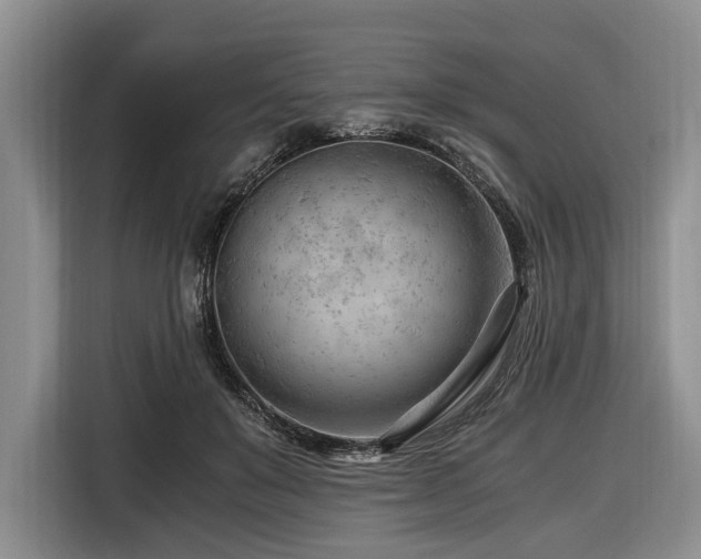 X0000116640503200912141238