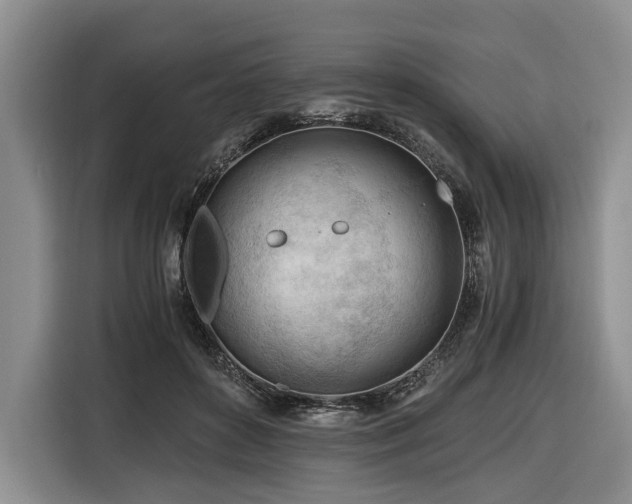 X0000116640504200912141238