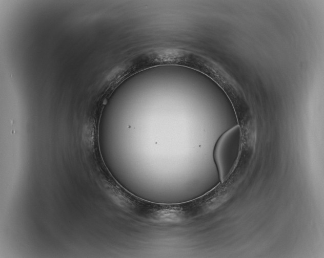 X0000116640505200912141238