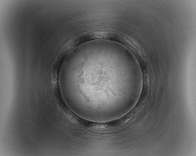 X0000116640507200912141238