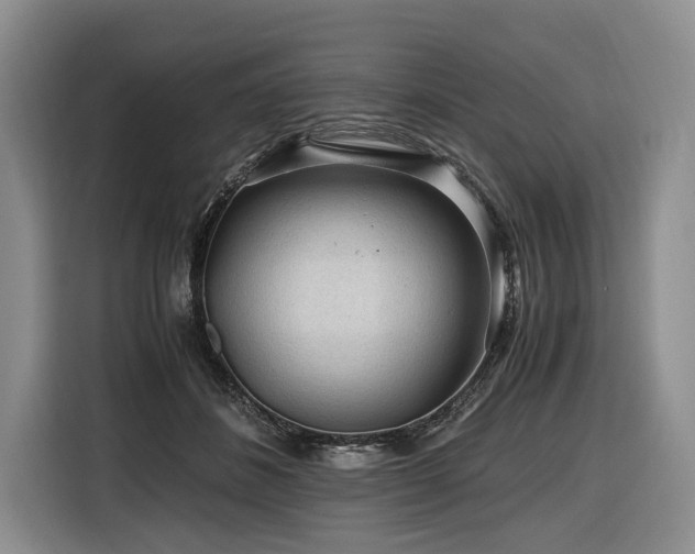 X0000116640508200912141238