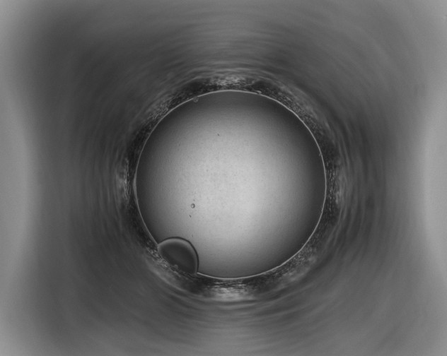 X0000116640510200912141238