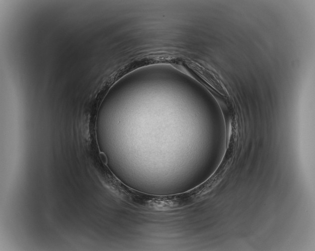 X0000116640512200912141238