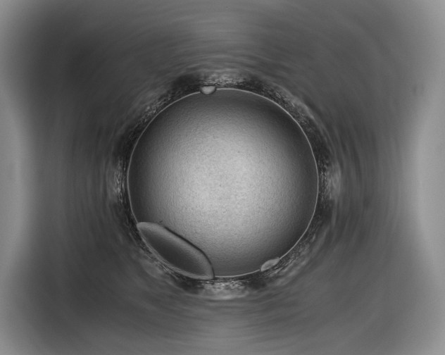 X0000116640517200912141238