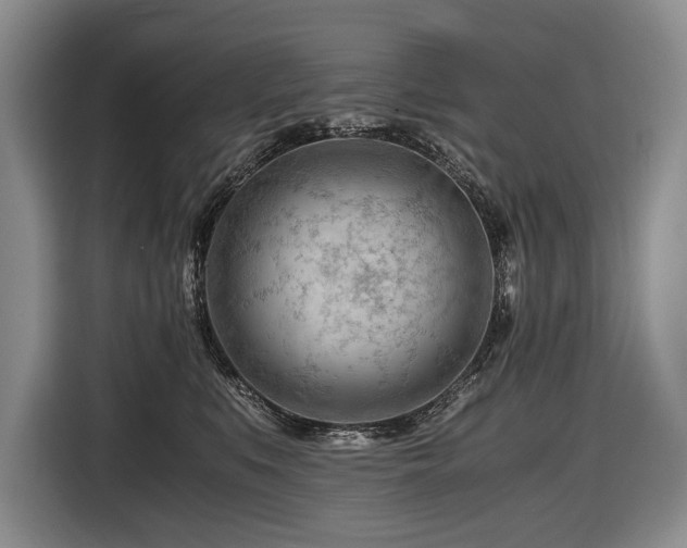 X0000116640519200912141238