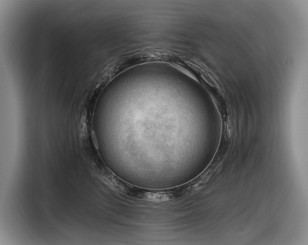 X0000116640520200912141238