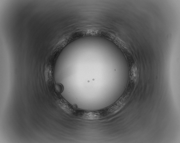 X0000116640522200912141238