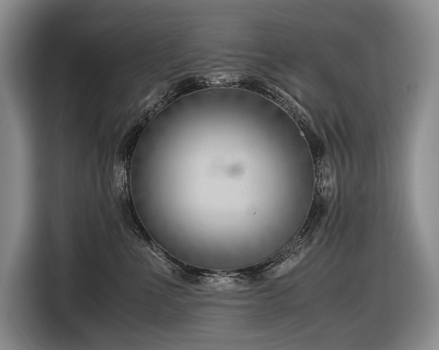 X0000116640523200912141238