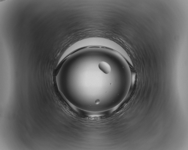 X0000116640524200912141238