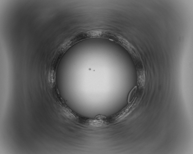 X0000116640525200912141238