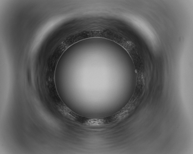 X0000116640526200912141238