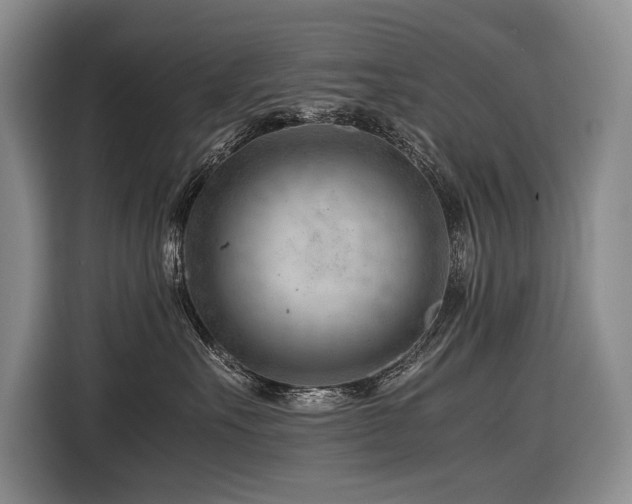 X0000116640527200912141238