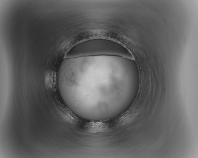 X0000116640528200912141238