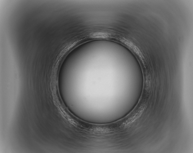 X0000116640529200912141237