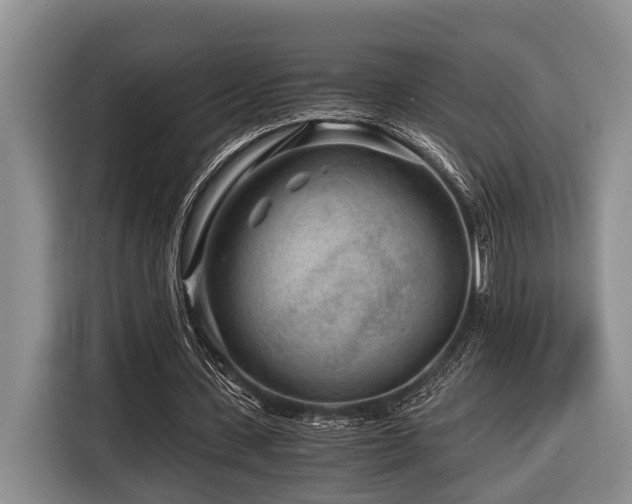 X0000116640531200912141237