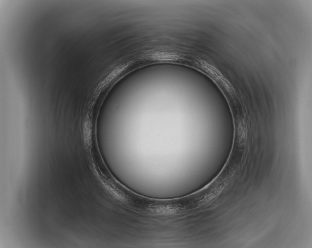 X0000116640533200912141237