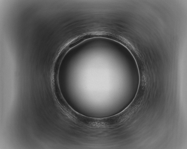 X0000116640535200912141237