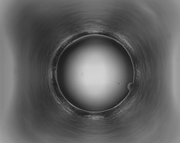 X0000116640539200912141237