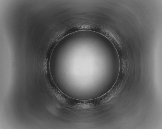 X0000116640545200912141237