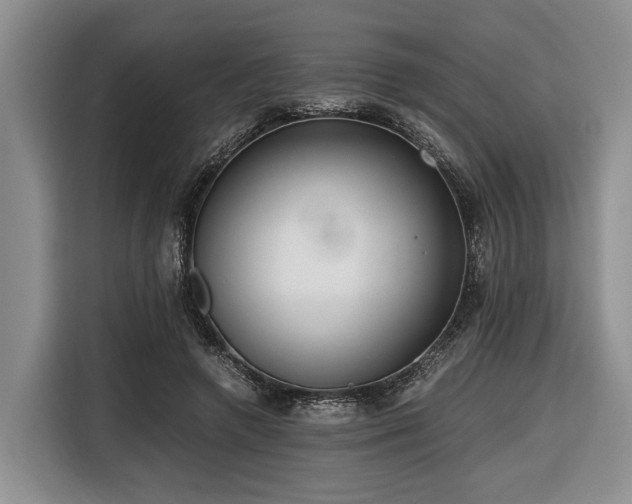 X0000116640546200912141237