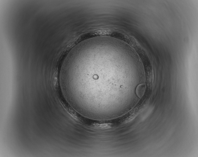 X0000116640553200912141237