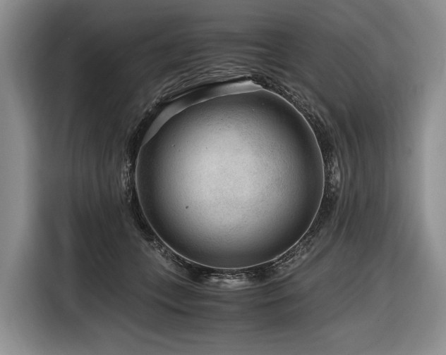 X0000116640559200912141237