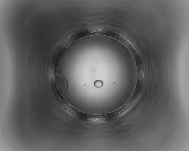 X0000116640561200912141237