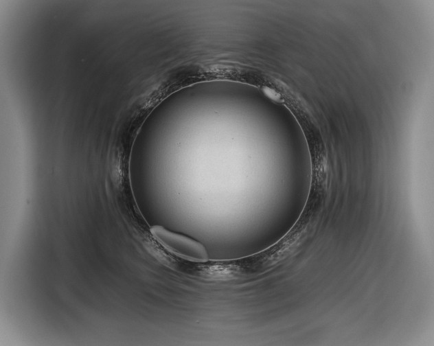 X0000116640566200912141238