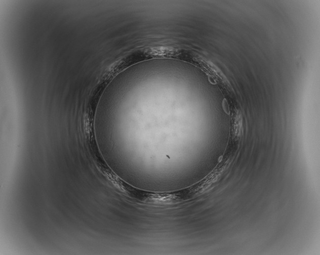 X0000116640569200912141238