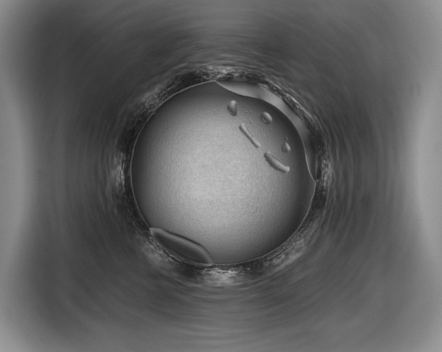 X0000116640570200912141238