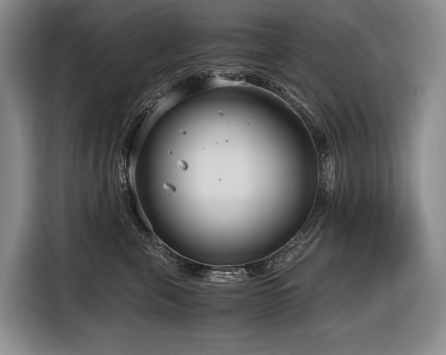 X0000116640571200912141238