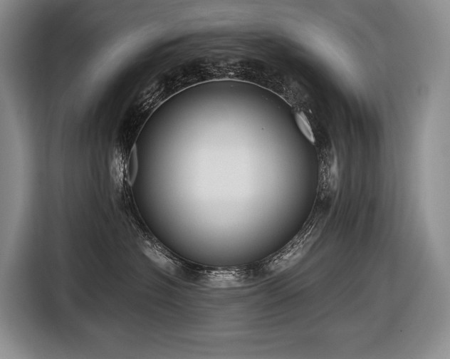 X0000116640574200912141238