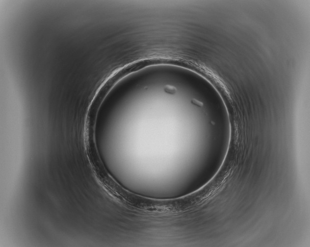 X0000116640580200912141237