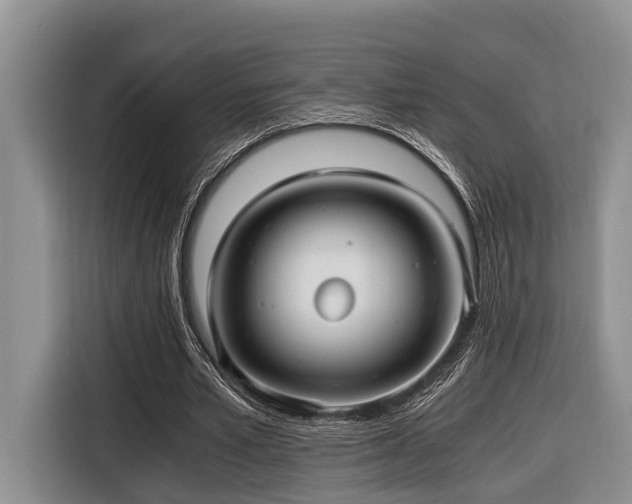 X0000116640581200912141237