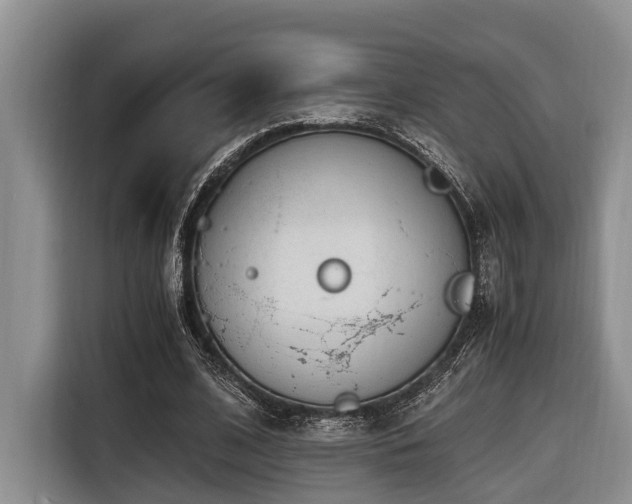 X0000116640584200912141237