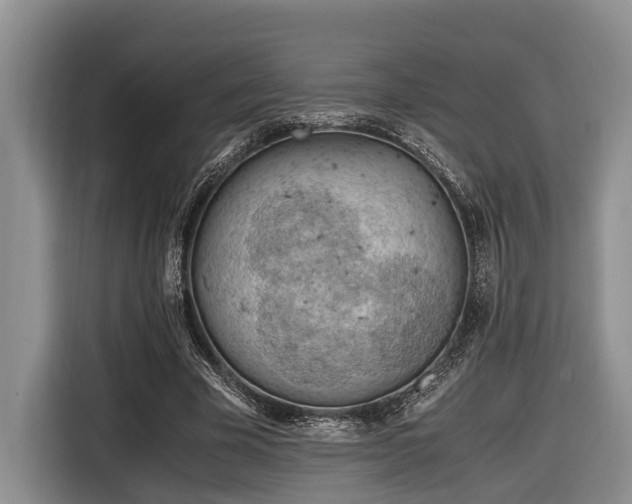 X0000116640585200912141237