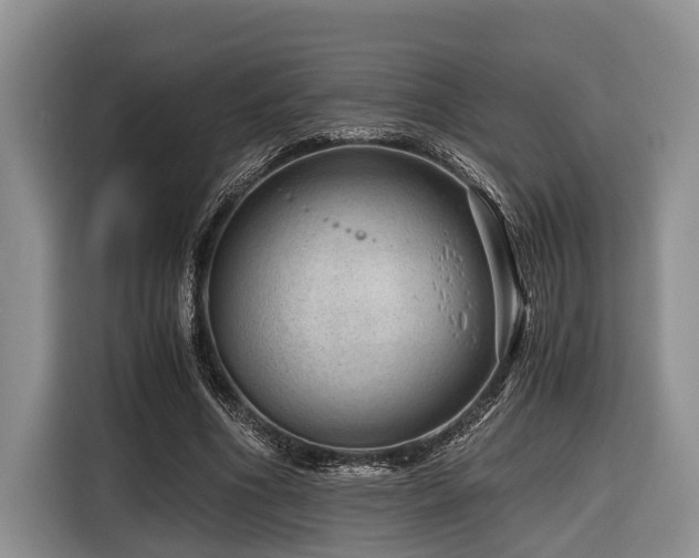 X0000116640586200912141237