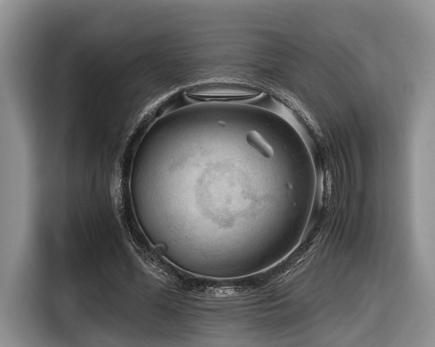 X0000116640588200912141237