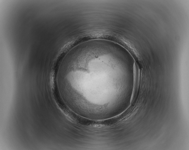 X0000116640590200912141237