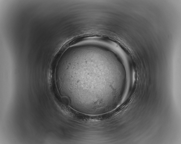 X0000116640592200912141237